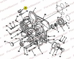 Oil Filter, Plug(39161)