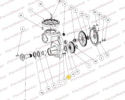 FILL PLUG (313780-000)