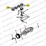 Piston Set, Ring(9010529)