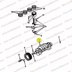 Crankshaft Assy(9010513)