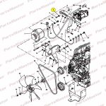 Washer, Flat, Belleville, .31(41186)