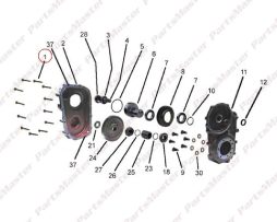 Transmission Gear Case M8 x 60 Bolt (GT-71682), (GT-72643)